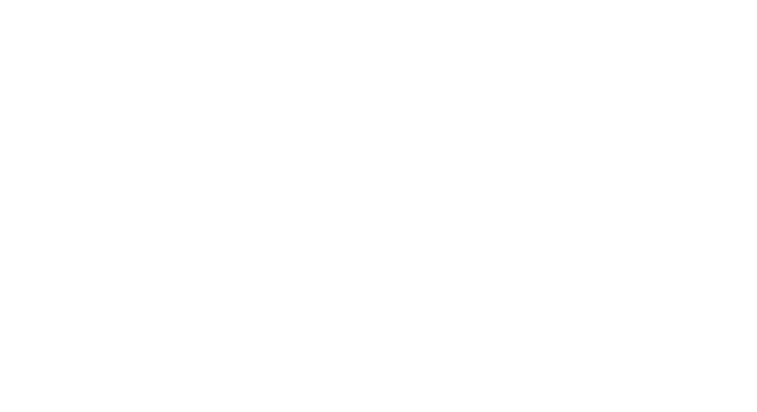 bengio protectors