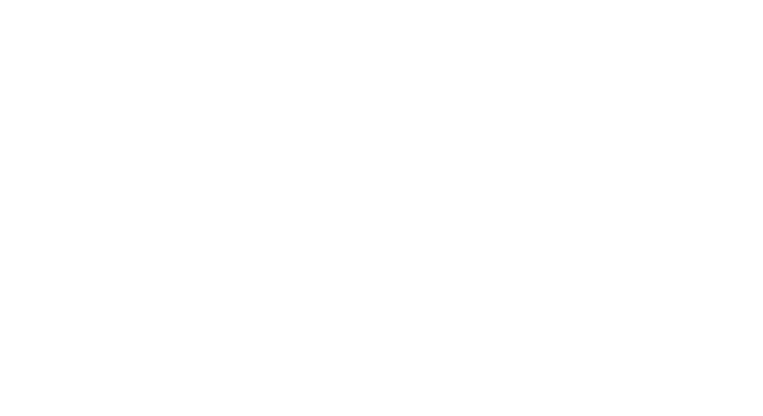 custom bengio protectors