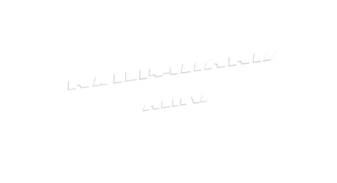 paintwork only